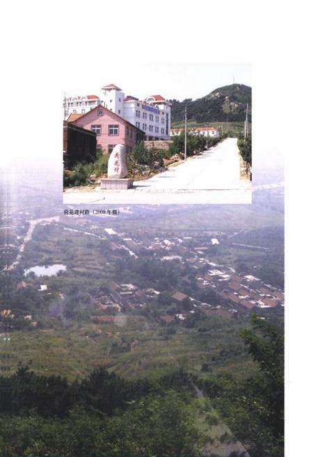 《荷花村志》.pdf电子版_山东省志插图4