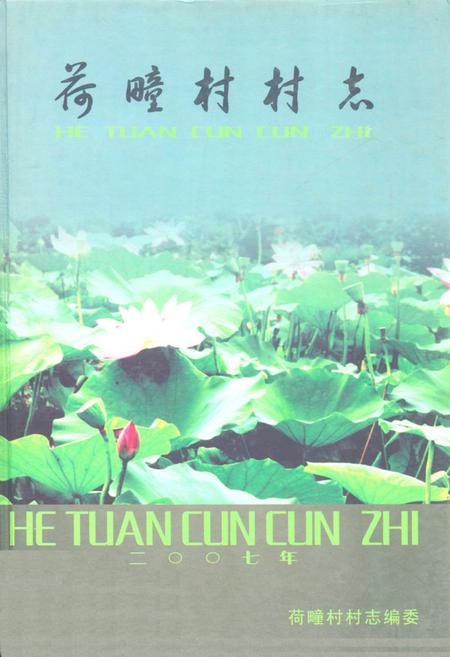《荷疃村村志》.pdf电子版_山东省志