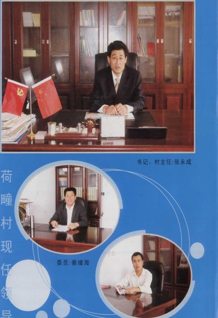 《荷疃村村志》.pdf电子版_山东省志插图4