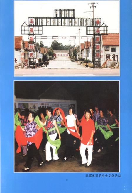 《荷疃村村志》.pdf电子版_山东省志插图5