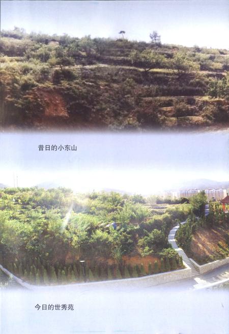 《烟台市芝车罘区小东夼村志(1652-2007)》.pdf电子版_山东省志插图3 《烟台市芝车罘区小东夼村志(1652-2007)》.pdf电子版_山东省志插图3