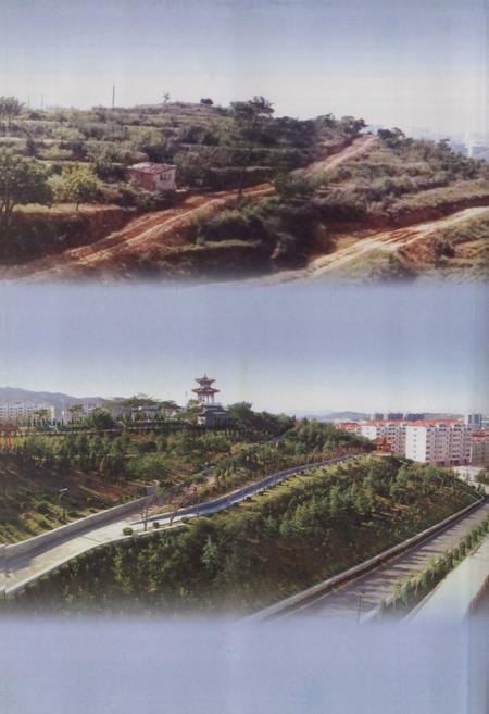 《烟台市芝车罘区小东夼村志(1652-2007)》.pdf电子版_山东省志插图4 《烟台市芝车罘区小东夼村志(1652-2007)》.pdf电子版_山东省志插图4