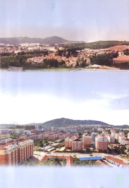 《烟台市芝车罘区小东夼村志(1652-2007)》.pdf电子版_山东省志插图5 《烟台市芝车罘区小东夼村志(1652-2007)》.pdf电子版_山东省志插图5