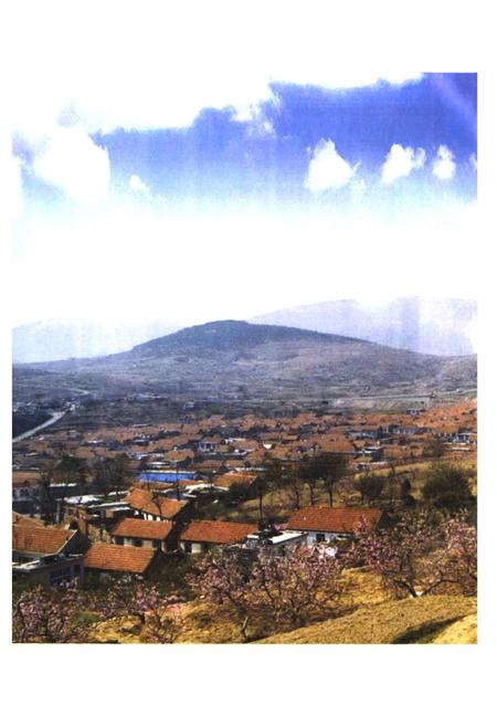 《沟崖村志》.pdf电子版_山东省志插图2