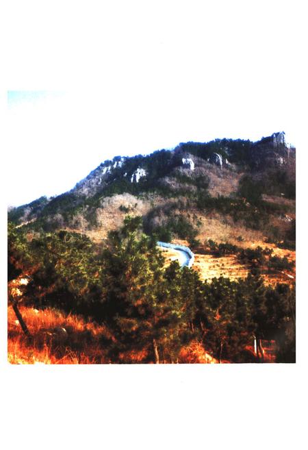 《沟崖村志》.pdf电子版_山东省志插图4