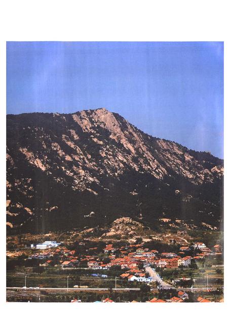 《唐家庄村志》.pdf电子版_山东省志插图3 《唐家庄村志》.pdf电子版_山东省志插图3