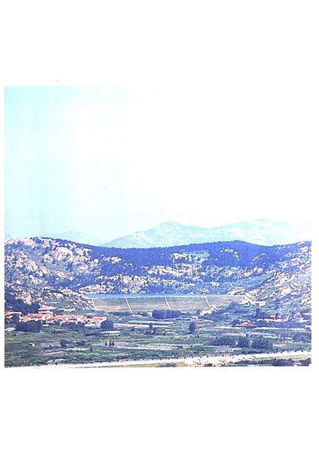 《张家河村志》.pdf电子版_山东省志插图3