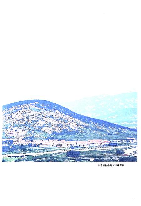 《张家河村志》.pdf电子版_山东省志插图4