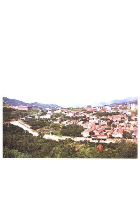 《下葛场村志》.pdf电子版_山东省志插图3