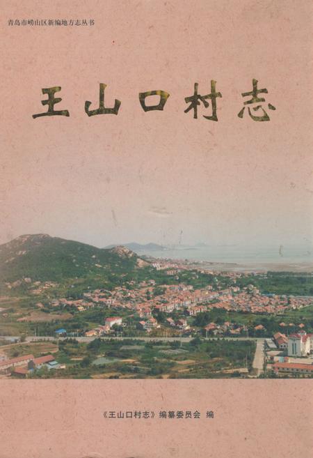 《王山口村志》.pdf电子版_山东省志