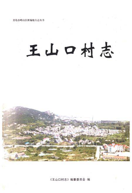 《王山口村志》.pdf电子版_山东省志插图1