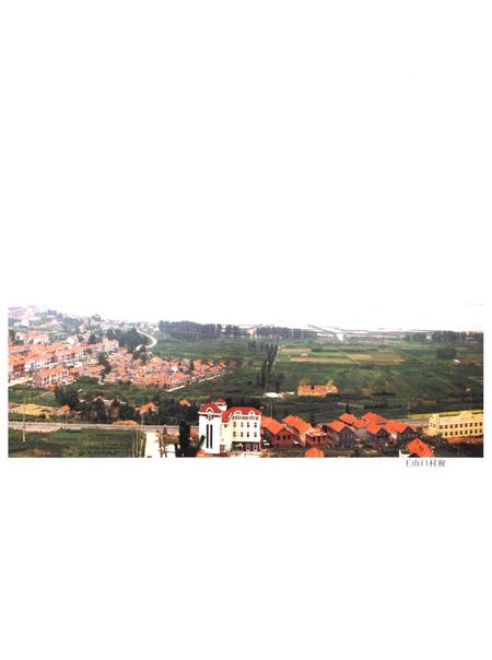 《王山口村志》.pdf电子版_山东省志插图4