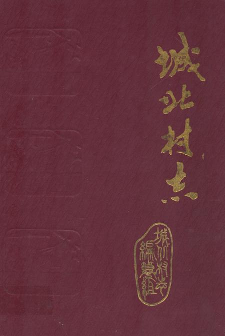 《城北村志》.pdf电子版_山东省志