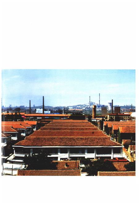 《张赵村志》.pdf电子版_山东省志插图4