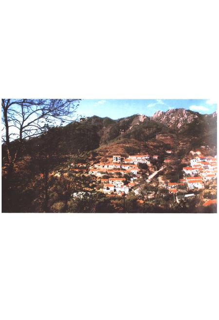 《慕武石村志》.pdf电子版_山东省志插图3