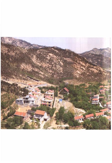 《西台村志》.pdf电子版_山东省志插图3 《西台村志》.pdf电子版_山东省志插图3