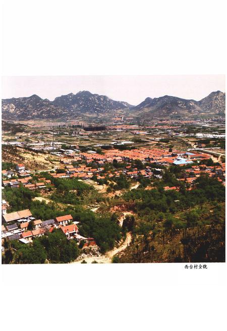 《西台村志》.pdf电子版_山东省志插图4 《西台村志》.pdf电子版_山东省志插图4