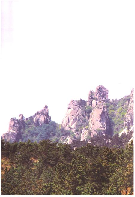 《西台村志》.pdf电子版_山东省志插图5 《西台村志》.pdf电子版_山东省志插图5