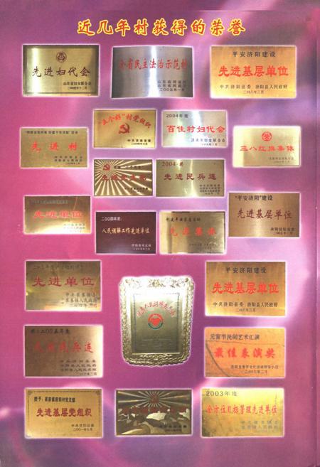 《前街村志》.pdf电子版_山东省志插图5 《前街村志》.pdf电子版_山东省志插图5