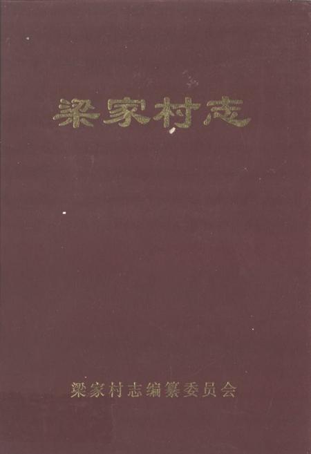 《梁家村志》.pdf电子版_山东省志