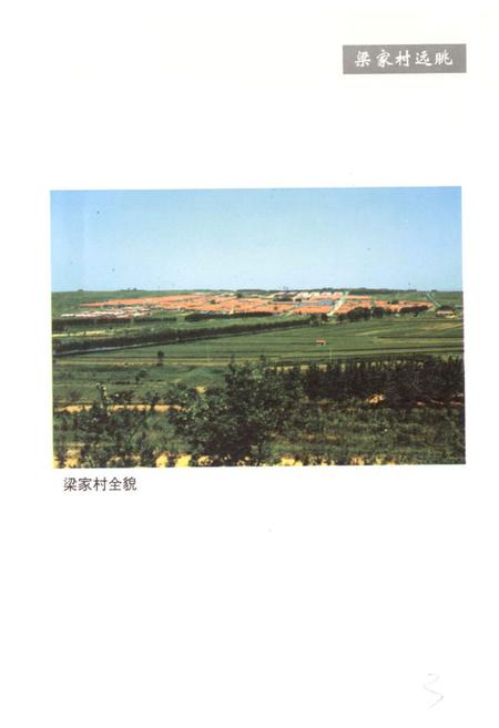 《梁家村志》.pdf电子版_山东省志插图4