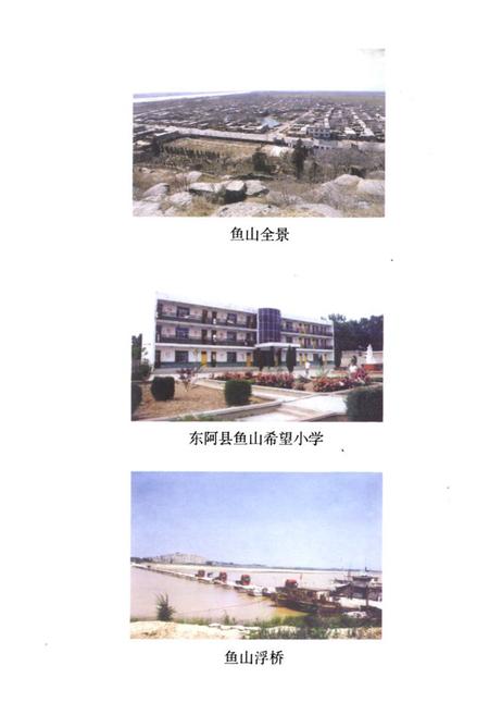 《《鱼山村志》》.pdf电子版_山东省志插图5