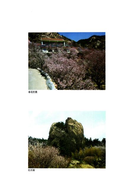 《磅石村志》.pdf电子版_山东省志插图4