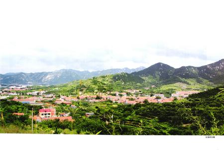 《五龙村志》.pdf电子版_山东省志插图3