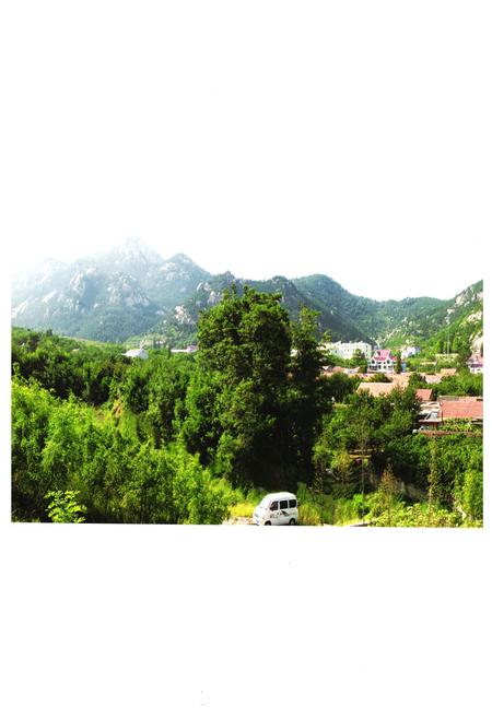 《《蓝家庄村志》》.pdf电子版_山东省志插图3