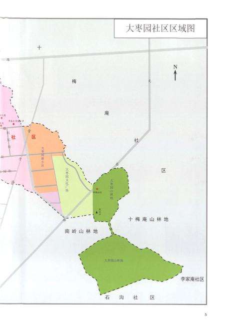 《大枣园村志》.pdf电子版_山东省志插图5