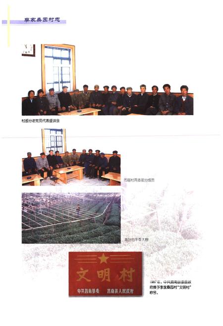 《李家桑园村志》.pdf电子版_山东省志插图4