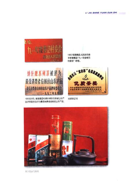 《李家桑园村志》.pdf电子版_山东省志插图5