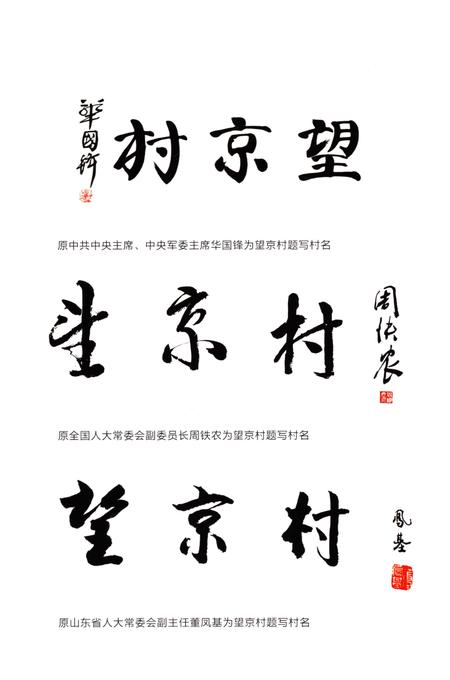 《望京村志》.pdf电子版_山东省志插图4