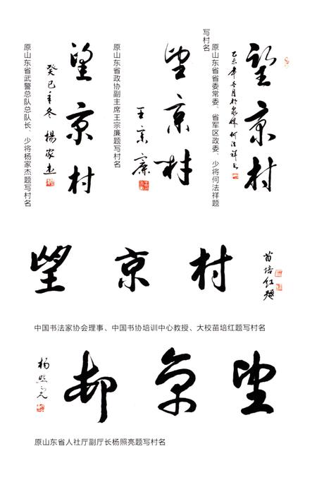 《望京村志》.pdf电子版_山东省志插图5