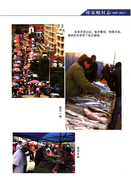 《孙家疃村志》.pdf电子版_山东省志插图4