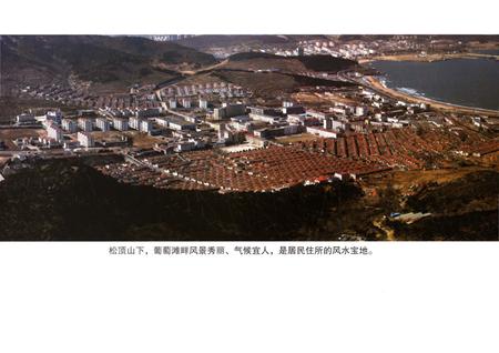 《孙家疃村志》.pdf电子版_山东省志插图5