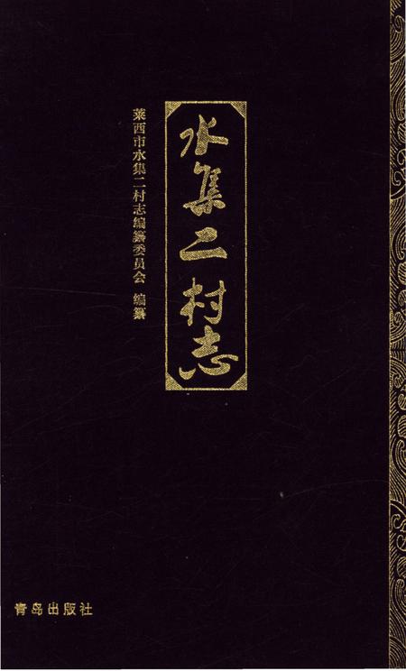 《水集二村志》.pdf电子版_山东省志插图