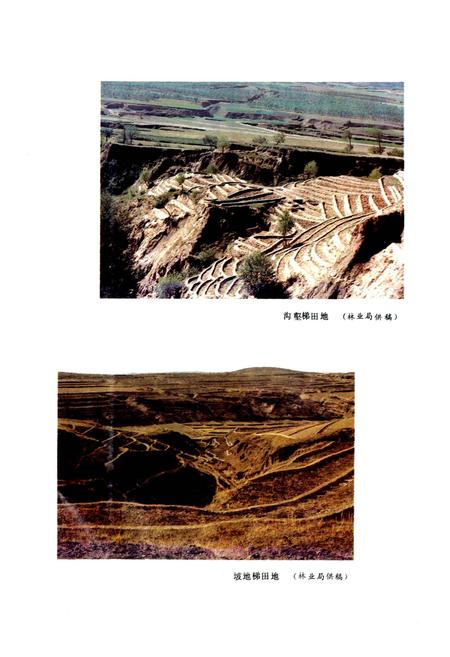 《平鲁县志》.pdf电子版_山西省志插图4