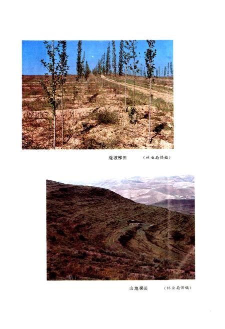 《平鲁县志》.pdf电子版_山西省志插图5
