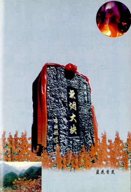 《阳城煤炭志》.pdf电子版_山西省志插图5