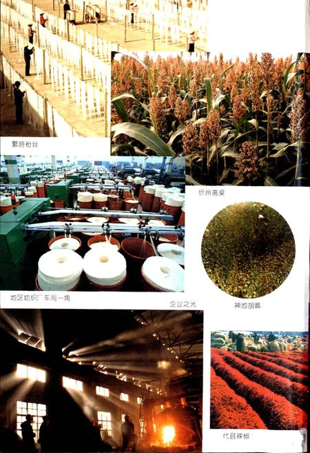 《忻州地区志》.pdf电子版_山西省志插图4