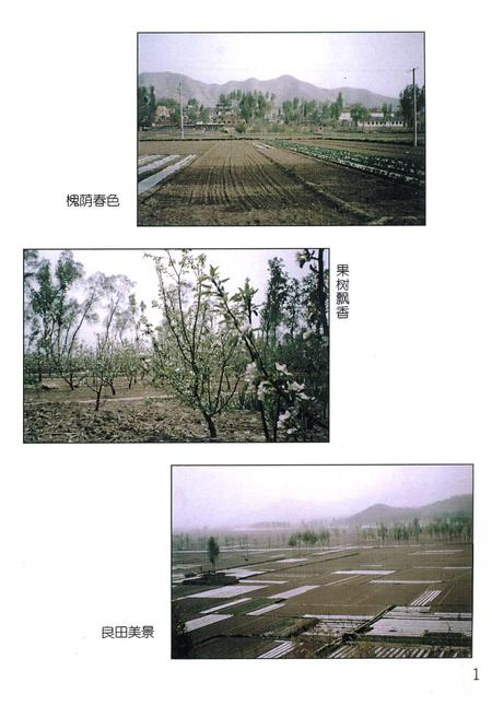 《槐荫村志》.pdf电子版_山西省志插图5