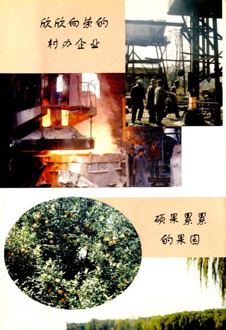 《神山村志》.pdf电子版_山西省志插图2