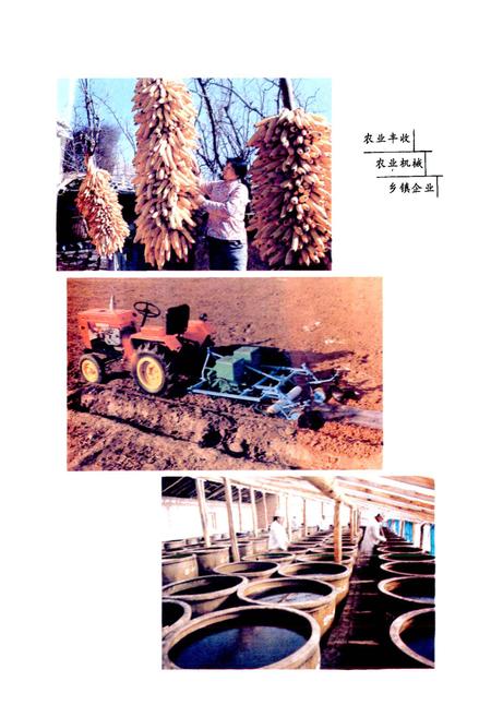 《太谷县志》.pdf电子版_山西省志插图5