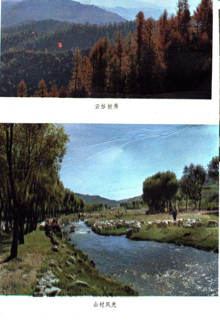 《岢岚县志》.pdf电子版_山西省志插图4