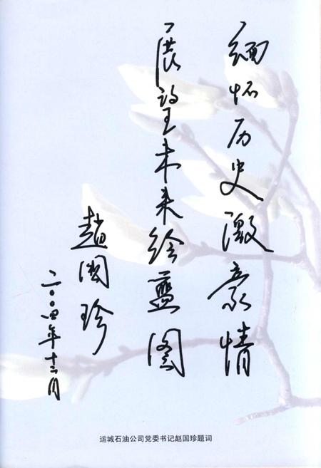 《河津石油公司志》.pdf电子版_山西省志插图4