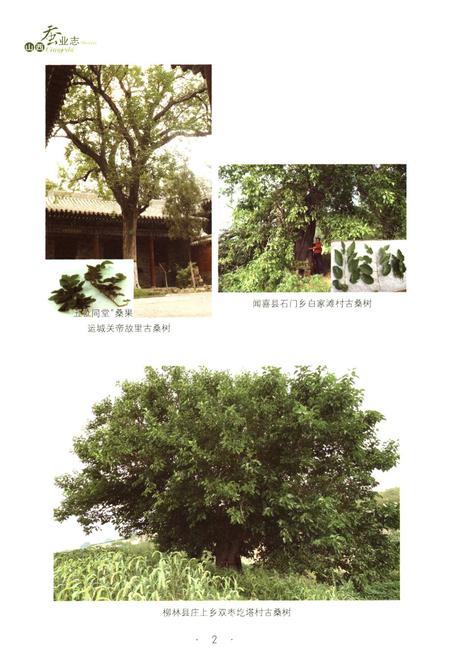 《山西蚕业志》.pdf电子版_山西省志插图5