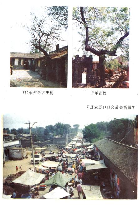 《汾阳县宣柴堡村志》.pdf电子版_山西省志插图4
