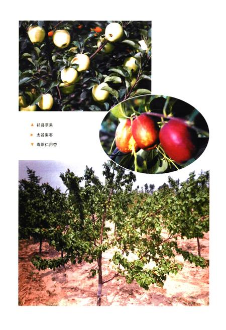 《晋中市志·第二册》.pdf电子版_山西省志插图3