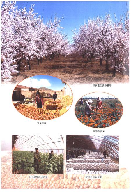 《《天镇县志》(1991-2008)》.pdf电子版_山西省志插图3